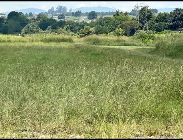 LAND FOR SALE IN GREENDALE